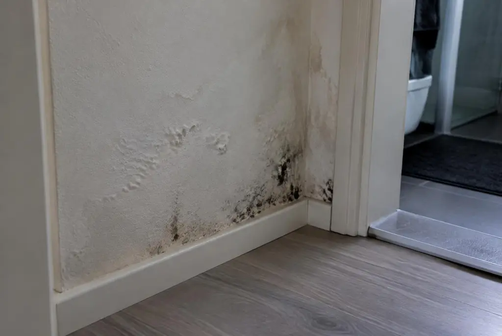 Lekdetectie Kampen – vochtplek met schimmel op een muur